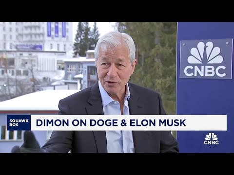 JPMorgan CEO Jamie Dimon on Elon Musk: The guy is our Einstein
