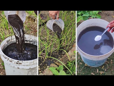 "One Scoop of This, and My Garden Exploded With Growth!"