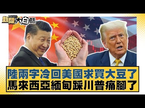 陸兩字冷回美國求買大豆了 馬來西亞緬甸踩川普痛腳了【#新聞大白話】20251003-12｜#賴岳謙 #徐弘庭 #呂禮詩
