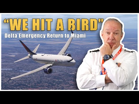 Delta 1399 Emergency Landing After Takeoff – Bird Strike Damages Engine