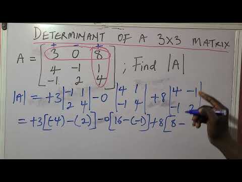 Determinant of a 3x3 Matrix || Matrices