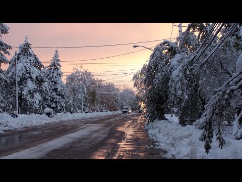 October 13 2006 Home Video Aftermath