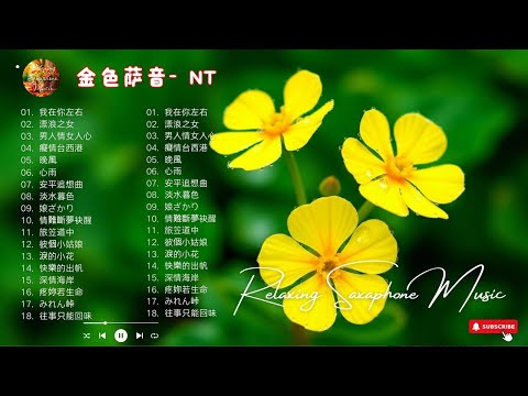 【100%無廣告，放鬆音樂】2025 薩克斯音樂、深度睡眠、放鬆音樂、療癒音樂、減壓按摩音樂、睡眠音樂、療癒音樂、鋼琴音樂、波音、鋼琴音樂、輕音樂、輕音樂、BGM、純音樂, 鋼琴音樂, 輕音樂