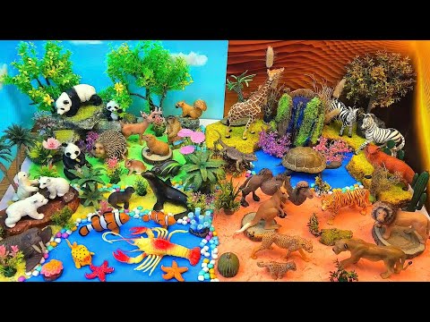 Learn Forest, Ocean and Desert Animal Names | DIY Animal Diorama