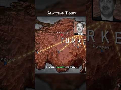 Anatolian Tigers #shorts