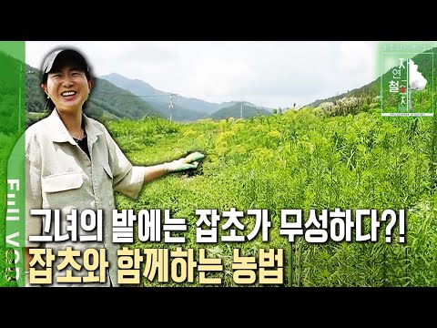 Don't pull or kill! The weeds here provide natural fertilizer and mulch. The world's largest "lea...