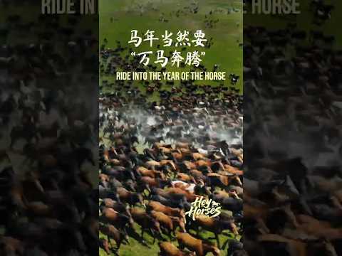 Ride into the Year of the Horse