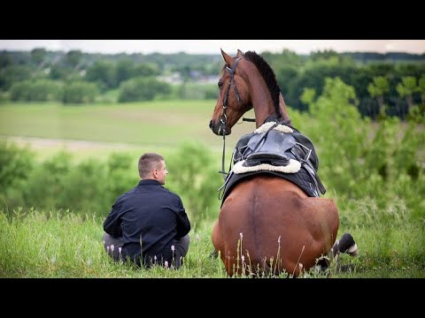 The Funniest Moments With Horses