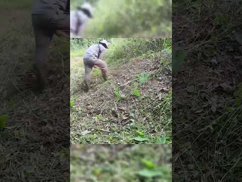 Mowing &amp; Cleaning Up for FREE to Help an 80-Year-Old Man! 2 🌿❤️