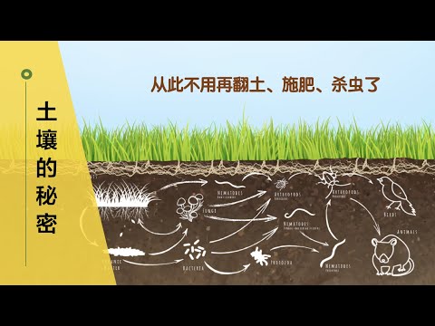 【土壤的秘密】72•园艺/一旦了解了土壤的秘密就能省钱省力，因为有人在勤勤恳恳地帮我们干活！