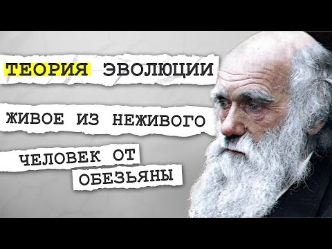 Разум человека - результат эволюции. Живое появилось из неживого. Теория эволюции. Дробышевский