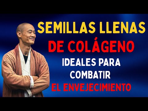 4 semillas que estimulan el colágeno de forma natural y mantienen la piel joven