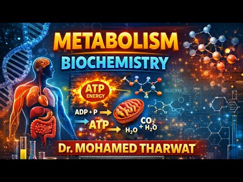 Metabolism - Protein Metabolism Part 2