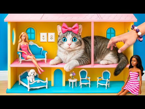 Мы спасли маленького котенка! Мы построили тайную комнату для питомца!