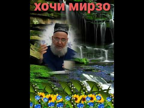 Хочи мирзо сволу чавоб кисаи бехтарин