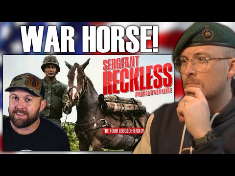 Royal Marine Reacts To America's War Horse Marine - Sergeant Reckless