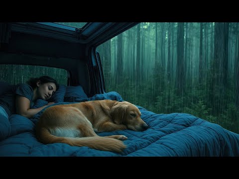Fall Asleep Fast 🌙 Cozy Car Rain & Thunderstorm Sounds for Deep Sleep & Calm Relaxation