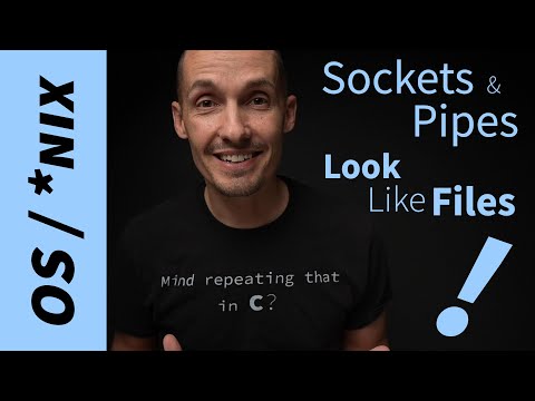 Sockets and Pipes Look Like Files (Unix/fdopen)