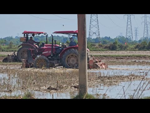 Tractor Yanma plowing the land 😍🌾 