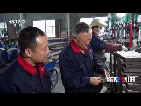 《经济半小时》 20251210 中国制造新势力：我在河南造钻石 |  财经风云