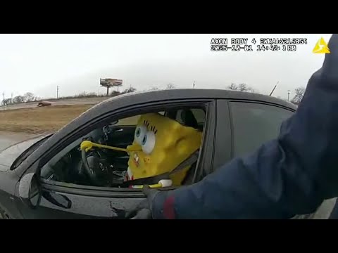 someone should go to jail for this