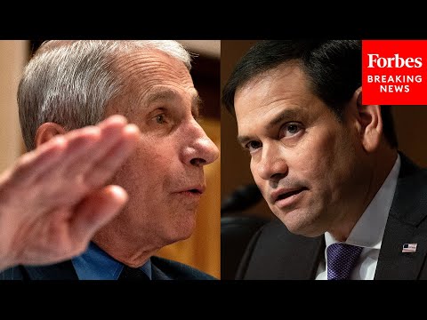 "Why Did You Dismiss The Lab-Leak Theory?": Rubio Grills Fauci On Past Statements Of COVID-19 Origin