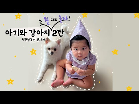 애개육아 1년차 / 아기랑 강아지는 이렇게 놀아요! / 아기랑 강아지 모음집 2탄