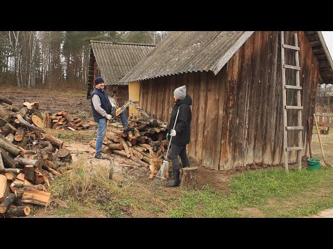 Hard Country Life in a Village Forest House: Harvesting Firewood. Simple Country Food!