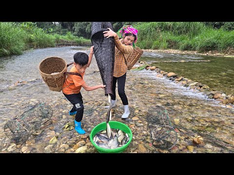 set fish traps with bamboo baskets, harvest fish and bring them back to the village to sell