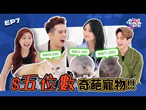 你見過蛇的生殖器嗎？｜06女神Janice跳性感蛇舞｜中國爆紅狗薩摩耶 節目拉屎!!｜［奇葩寵物 VS 可愛寵物］EP07 黑皮談話綜藝 【 #1234哈哈哈 】