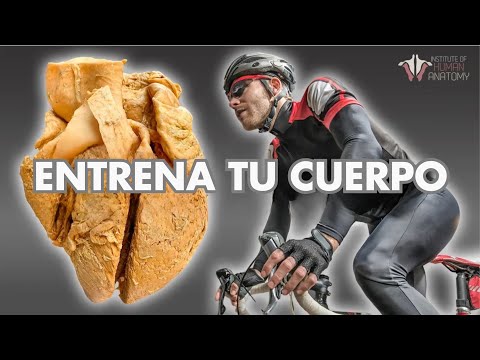 ¿Por qué el ejercicio es el REY de la salud?