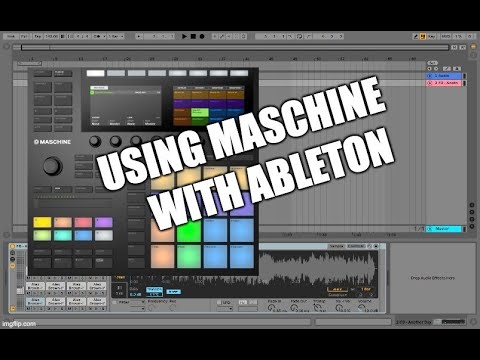 How I Use Maschine w/ Ableton - (Integration, Workflow, Sample Chopping, Latency, etc..)