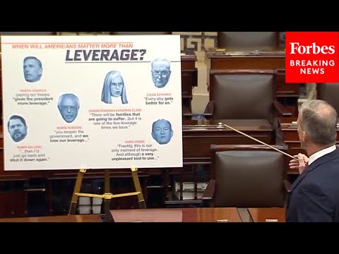 John Thune Skewers Democrats For Their Comments About Using Government Shutdown As 'Leverage'