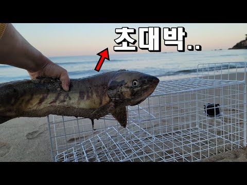 연어를 통채로 바다에 넣어놓으면 생기는 일