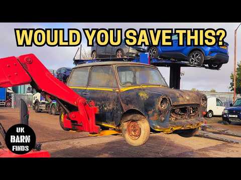 Field Find Minis | Would You Save Them? Barn Find Cars For Sale
