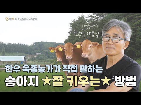 한우 육종농가가 직접 말하는 송아지 잘 키우는 방법