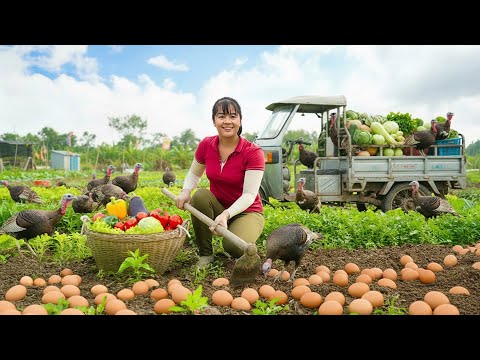 Rewind Timelapse: Gardening, Growing & Harvesting Sugar Cane, Cooking | Phương Farm TV