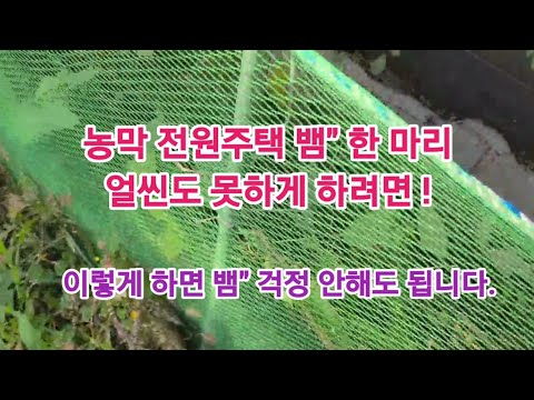 농막이나 전원주택에 뱀이 얼씬도 못하게 하려면, 뱀이 오기 전에 빨리 이렇게 하면! 걱정 안해도 됩니다!