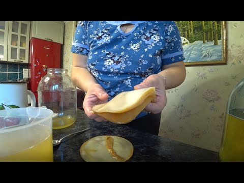 How to store kombucha when not in use?