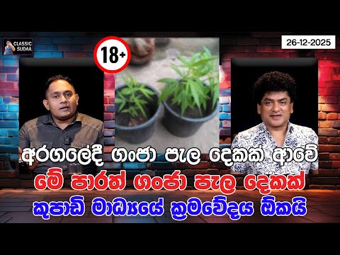 අරගලේදී ගංජා පැල දෙකක් ආවේ මේ පාරත් ගංජා පැල දෙක‍ක් කුපාඩි මාධ්‍යයේ ක්‍රමවේදය ඕකයි | CLASSIC SUDAA |