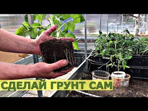 How to make soil for seedlings with your own hands?