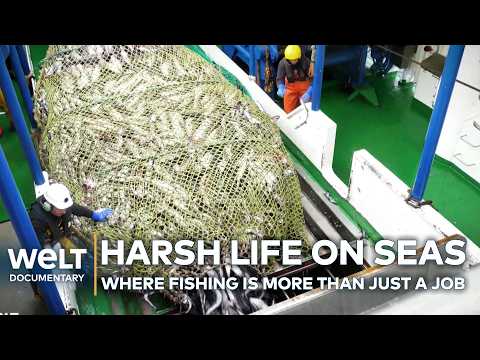 STORMS, STEEL AND POLLOCK: Why Deep-Sea Fishing is a Job for True Risk-Takers | WELT Documentary