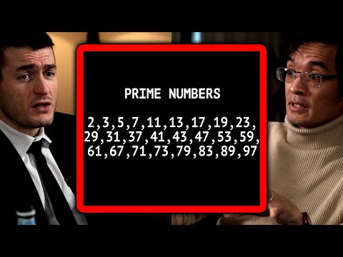 Mathematician explains prime numbers | Terence Tao and Lex Fridman