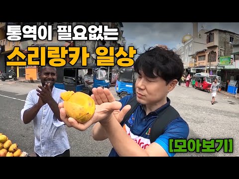 "한국에 취직=로또" 스리랑카에 한국인이 가면 생기는 일상 끝판왕 [모아보기]🇱🇰