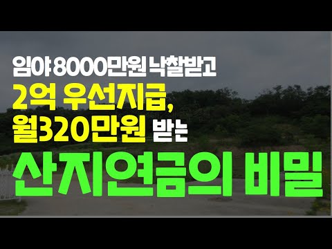 임야 8000만원 낙찰받고 2억 우선 지급, 월 320만원 받는 산지연금의 비밀