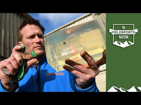 What's the best slingshot ammo for squirrels and pigeons?