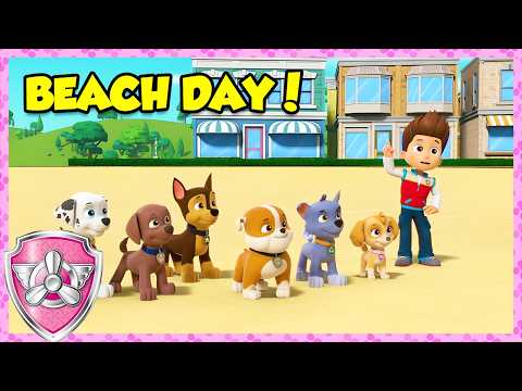 Skye's Beach Day! (Compilation) | Skye - Paw Patrol & Friends | Cartoons For Kids