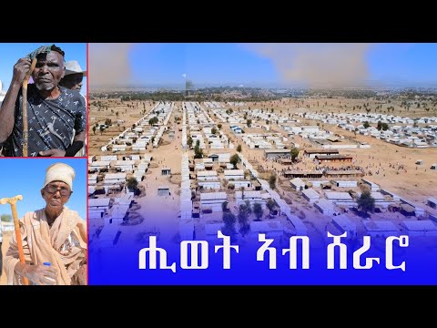 ሽራሮ ኣይቲኻ ዘይትዎፆ ቃላይ ኮይናትኒ ውዒላ ትህዝቢ ኣብ ፀሓይ ረፍ ኢሉ ተስፋ ይገብር ዓዳሃገር ድማ ከትርፉ ላሕ ይብሉ መሕዘኒ ጫፋ ክልተ
