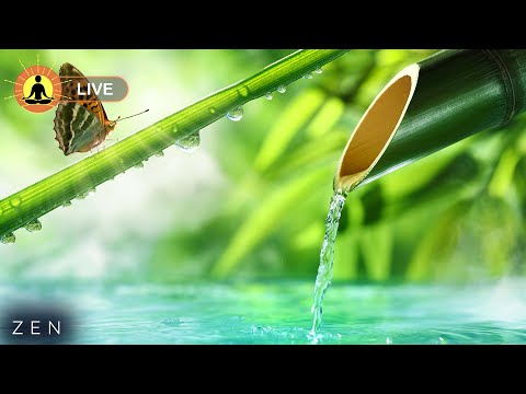 This live stream has ended. We will release a new version of this live stream soon. See link below