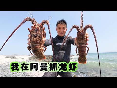 Found the big lobster nest in the big waves, and was shocked by the harvest.